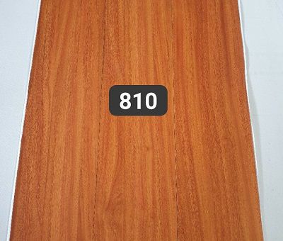Sàn nhựa 2 li có keo SN810